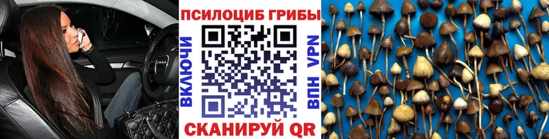 где купить наркоту  blacksprut ссылки  Псилоцибиновые грибы прущие грибы  Томмот 